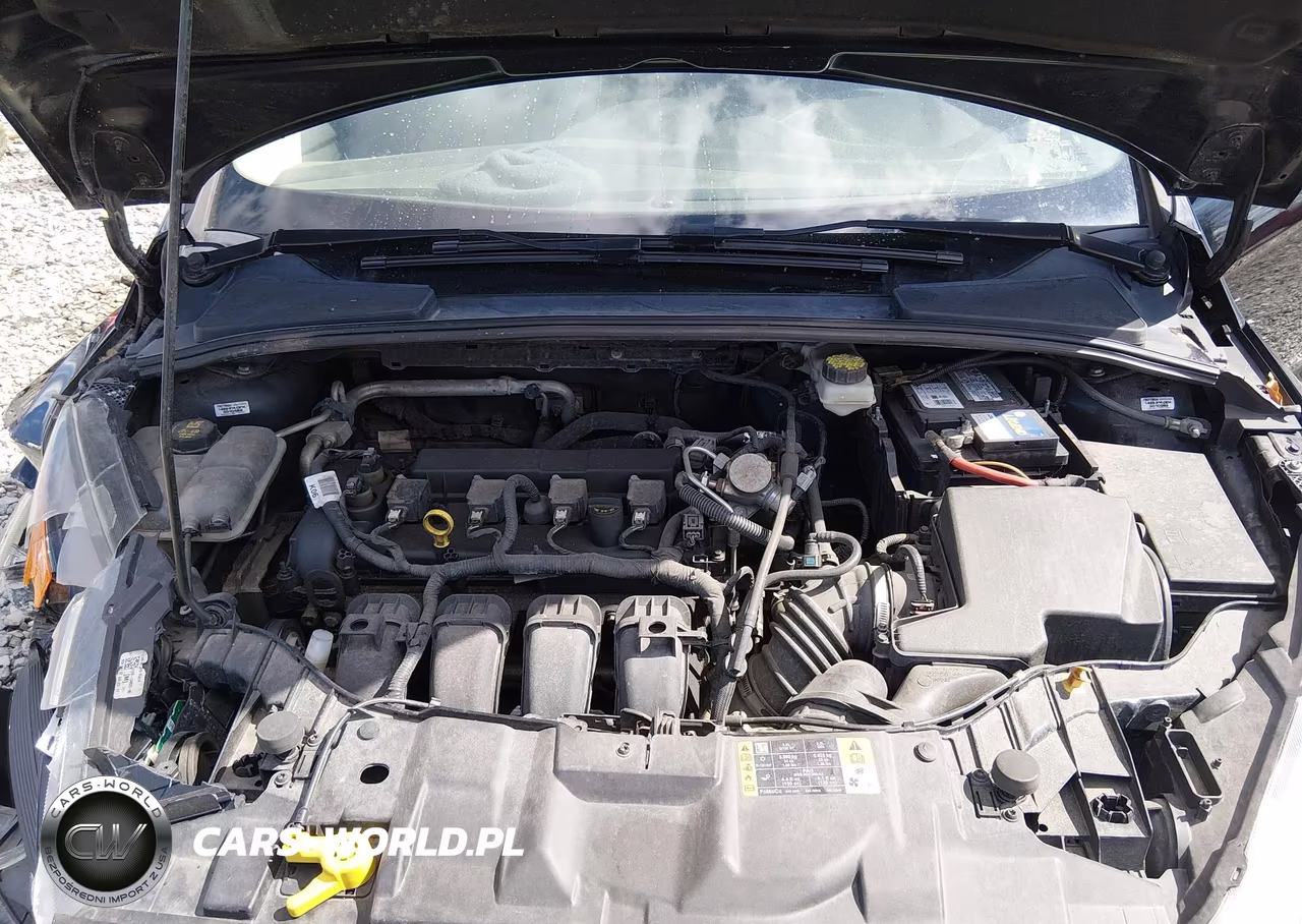 2017 Ford Focus Se VIN:1FADP3F24HL316749 - 10