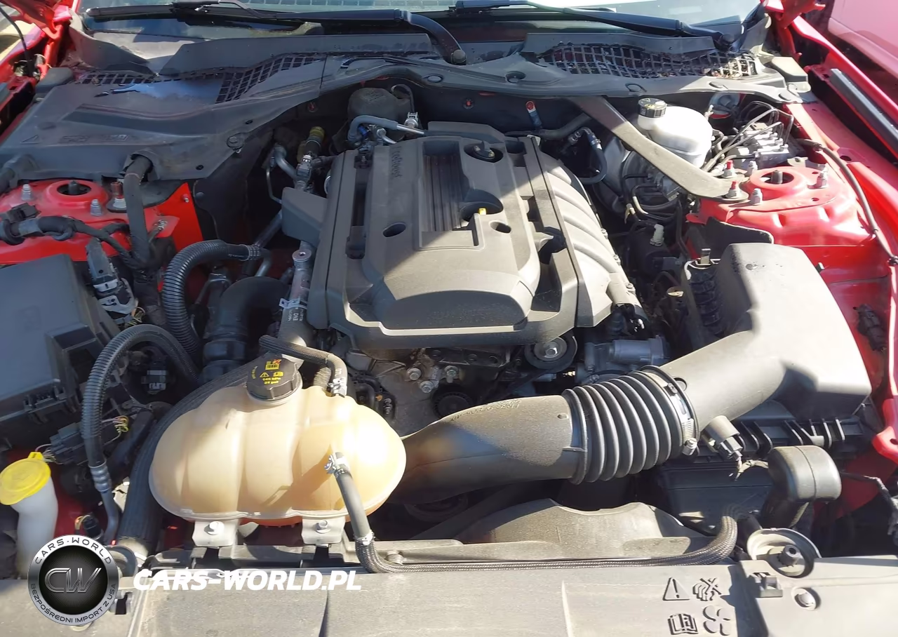 2019 Ford Mustang Ecoboost Premium VIN:1FATP8UH9K5119622 - 10