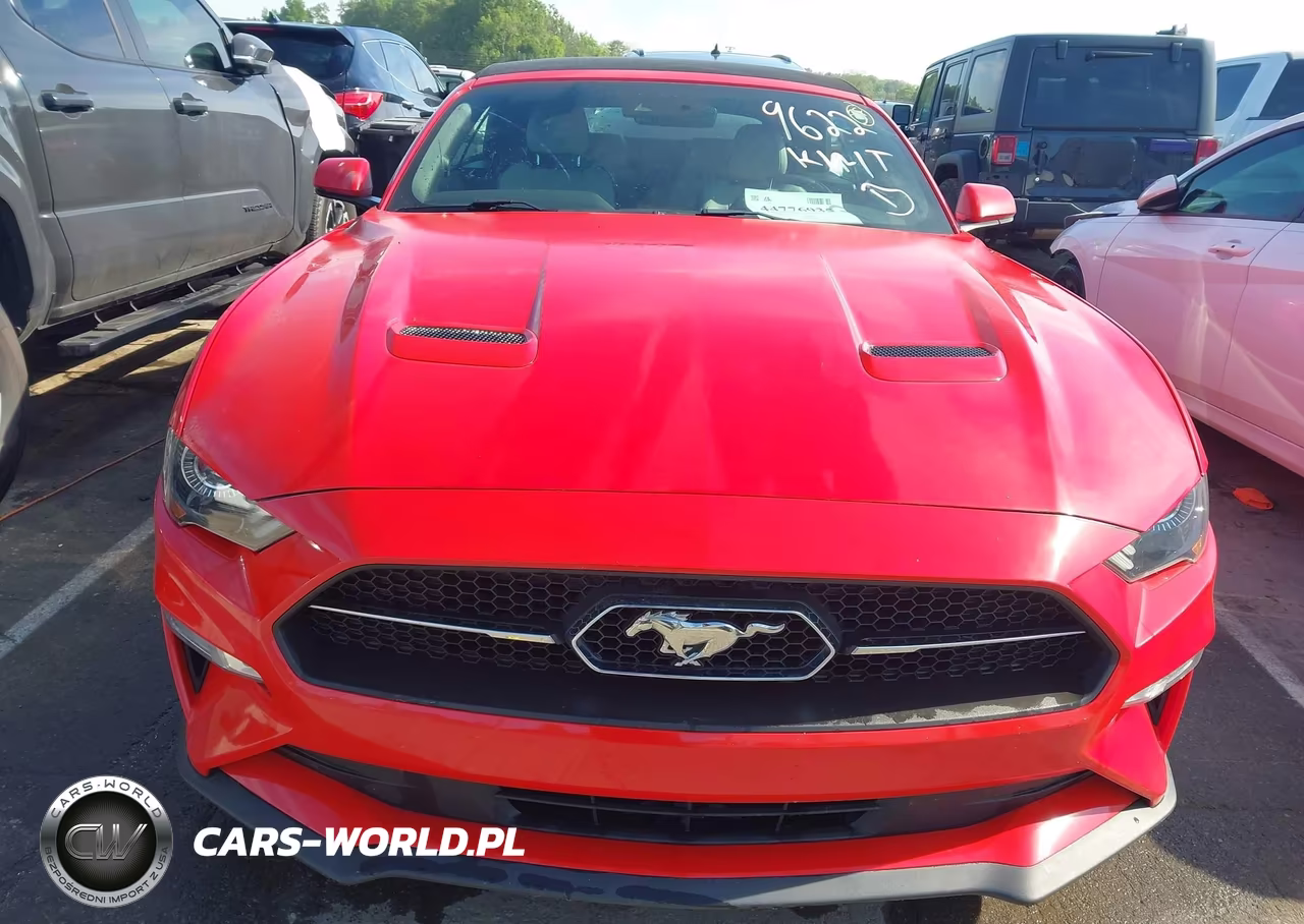 2019 Ford Mustang Ecoboost Premium VIN:1FATP8UH9K5119622 - 12