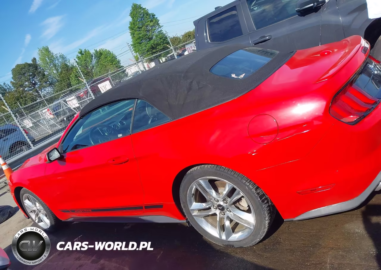 2019 Ford Mustang Ecoboost Premium VIN:1FATP8UH9K5119622 - 14