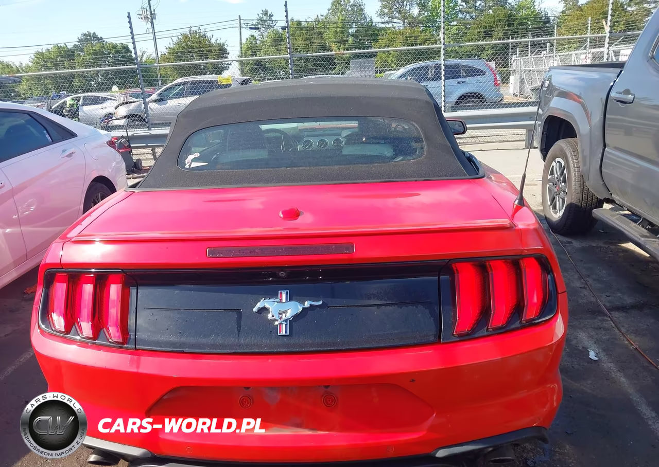 2019 Ford Mustang Ecoboost Premium VIN:1FATP8UH9K5119622 - 16