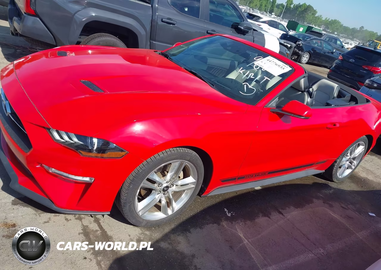 2019 Ford Mustang Ecoboost Premium VIN:1FATP8UH9K5119622 - 17