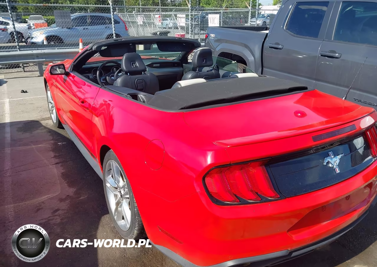 2019 Ford Mustang Ecoboost Premium VIN:1FATP8UH9K5119622 - 18