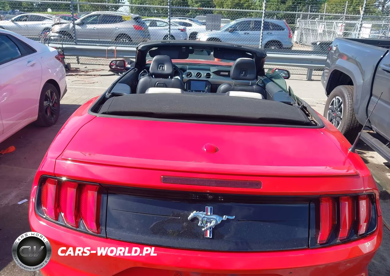 2019 Ford Mustang Ecoboost Premium VIN:1FATP8UH9K5119622 - 19