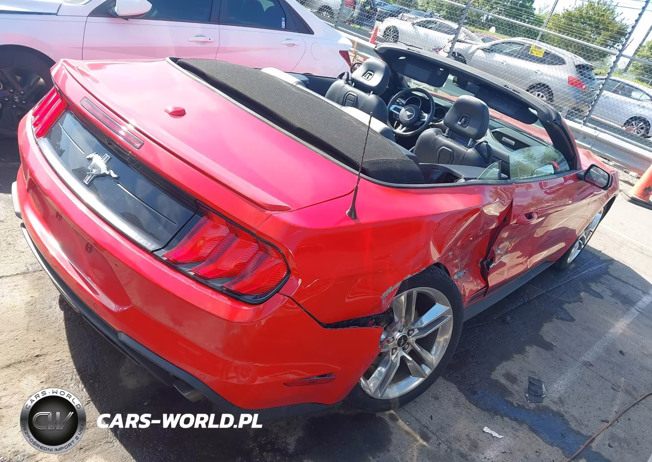 2019 Ford Mustang Ecoboost Premium VIN:1FATP8UH9K5119622 - 20