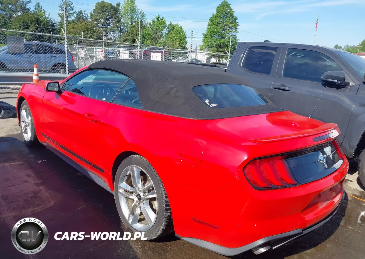 2019 Ford Mustang Ecoboost Premium VIN:1FATP8UH9K5119622 - 3