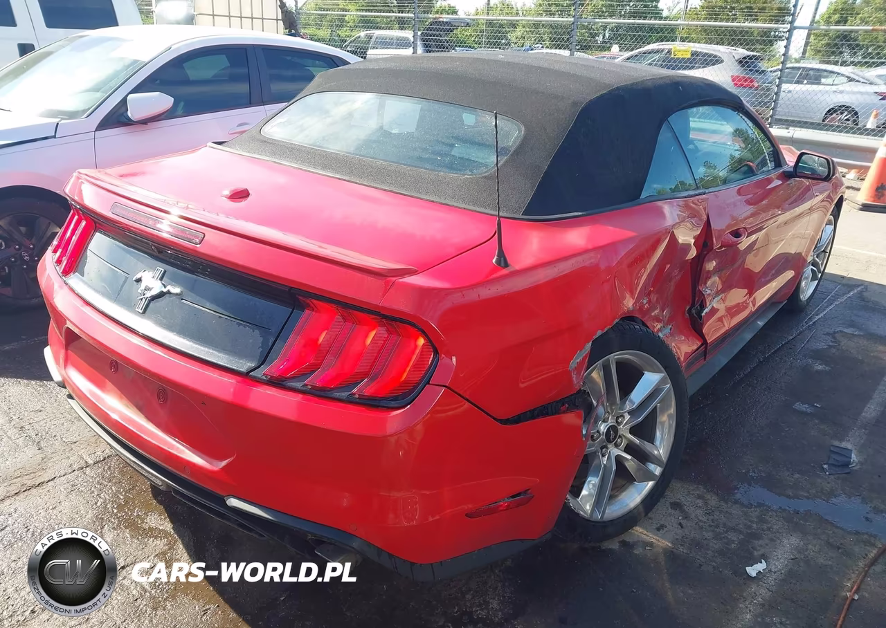 2019 Ford Mustang Ecoboost Premium VIN:1FATP8UH9K5119622 - 4