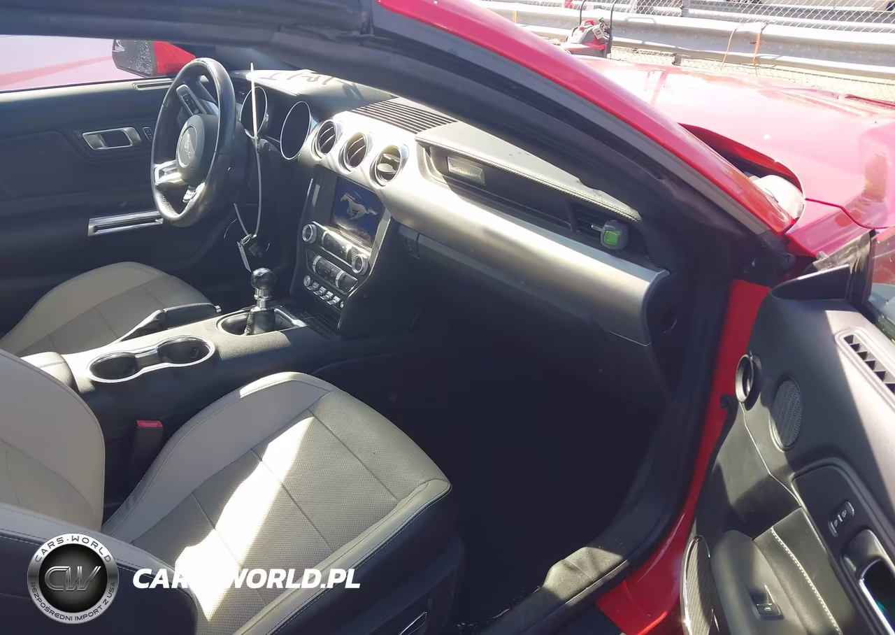 2019 Ford Mustang Ecoboost Premium VIN:1FATP8UH9K5119622 - 5