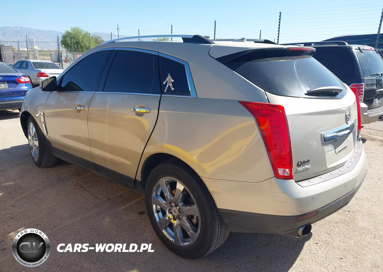 2011 Cadillac Srx Performance Collection VIN:3GYFNBEY3BS613872 - 3