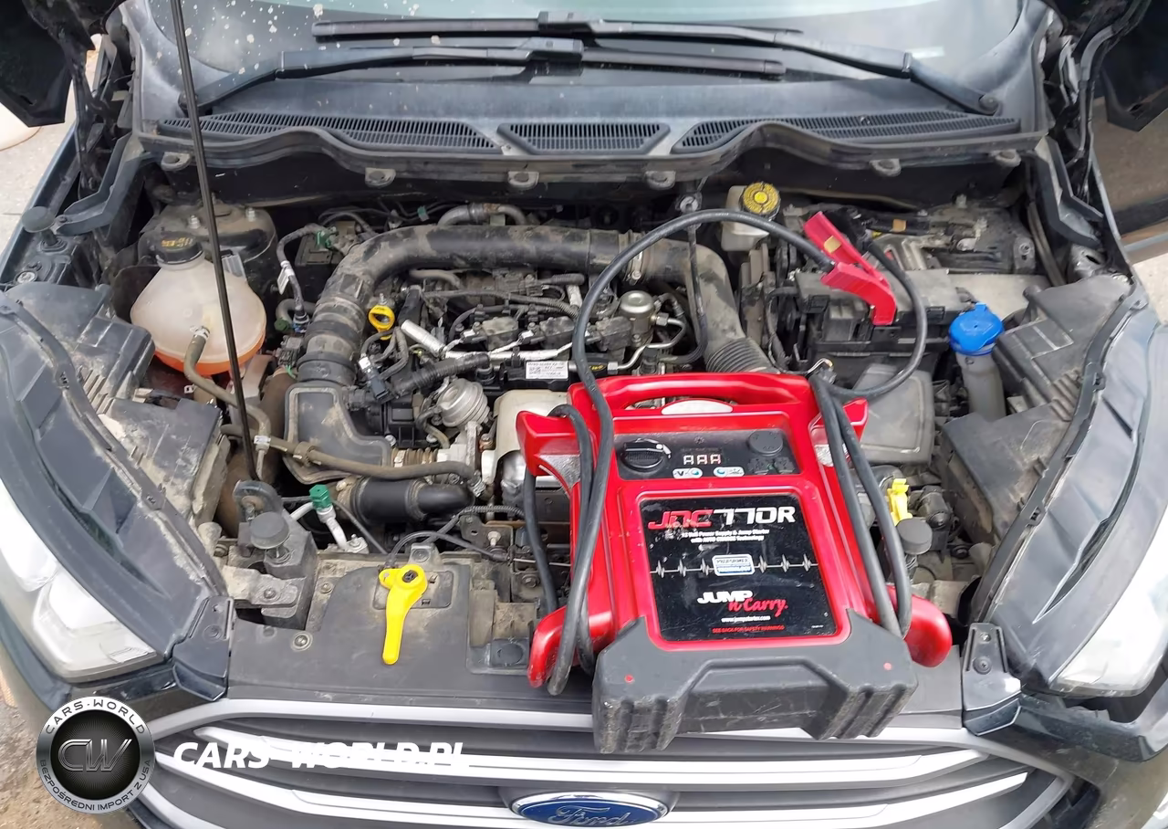 2018 Ford Ecosport Se VIN:MAJ3P1TE9JC249859 - 10