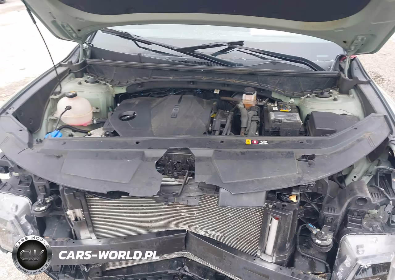 2024 Hyundai Santa Cruz Sel VIN:5NTJBDAE6RH079689 - 10