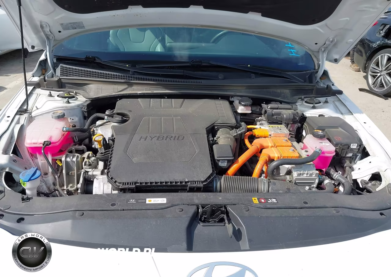 2024 Hyundai Elantra Hybrid Limited VIN:KMHLN4DJ6RU097358 - 10