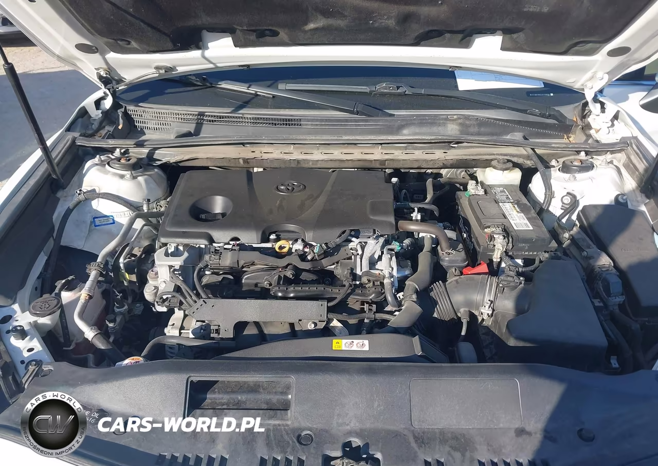 2018 Toyota Camry Xse VIN:4T1B61HK3JU116656 - 10