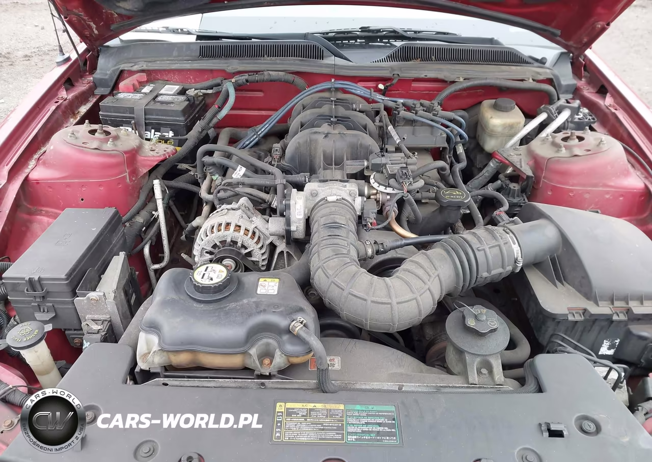 2005 Ford Mustang V6 Deluxe-V6 Premium VIN:1ZVFT80N155251774 - 10