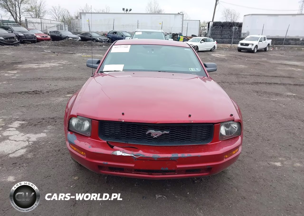 2005 Ford Mustang V6 Deluxe-V6 Premium VIN:1ZVFT80N155251774 - 12