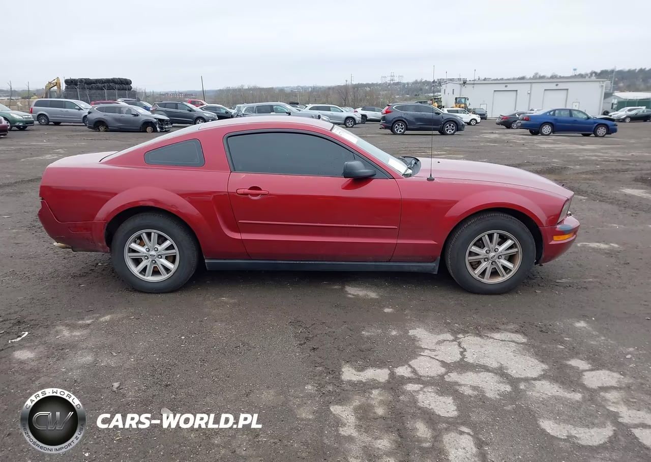 2005 Ford Mustang V6 Deluxe-V6 Premium VIN:1ZVFT80N155251774 - 13