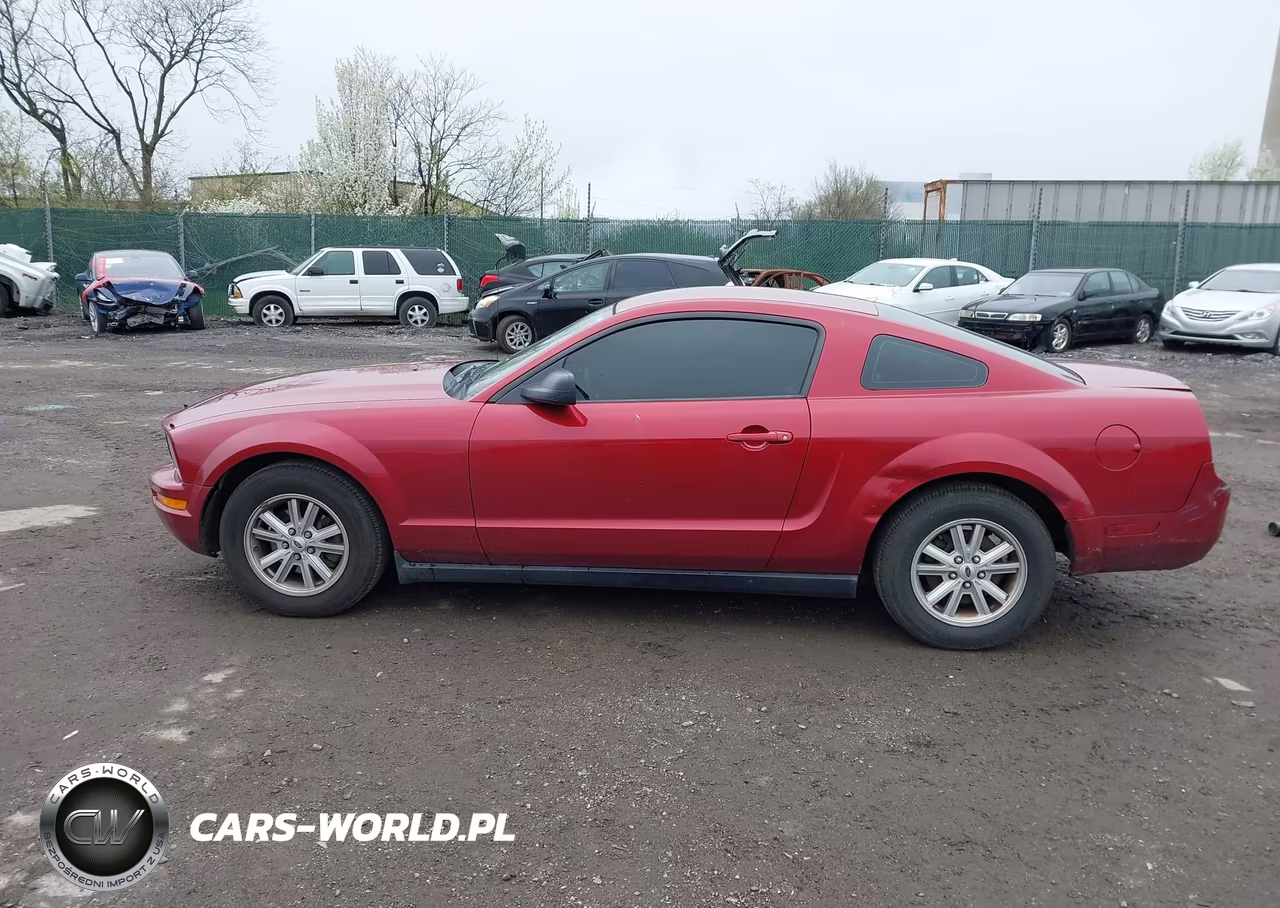 2005 Ford Mustang V6 Deluxe-V6 Premium VIN:1ZVFT80N155251774 - 14