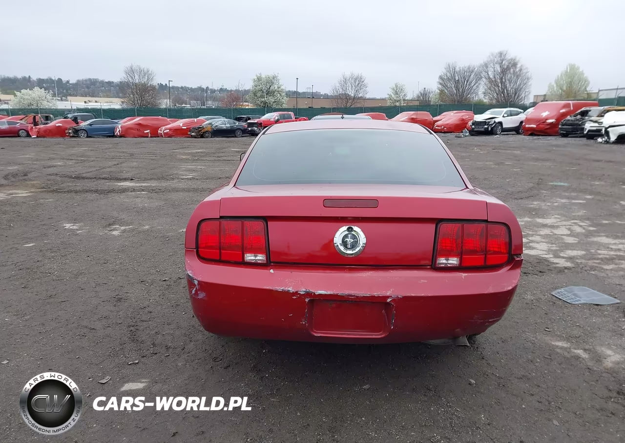 2005 Ford Mustang V6 Deluxe-V6 Premium VIN:1ZVFT80N155251774 - 16