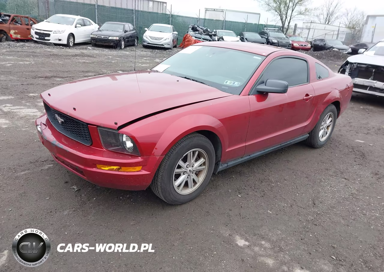 2005 Ford Mustang V6 Deluxe-V6 Premium VIN:1ZVFT80N155251774 - 2