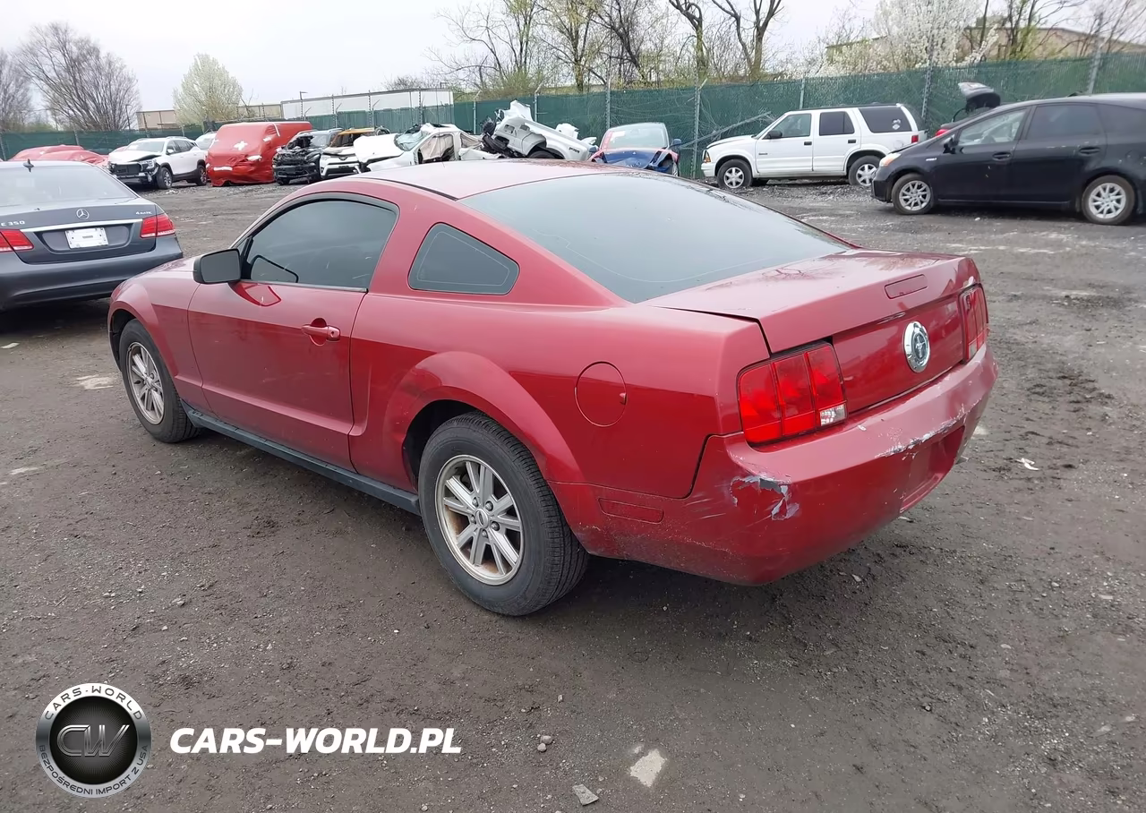 2005 Ford Mustang V6 Deluxe-V6 Premium VIN:1ZVFT80N155251774 - 3