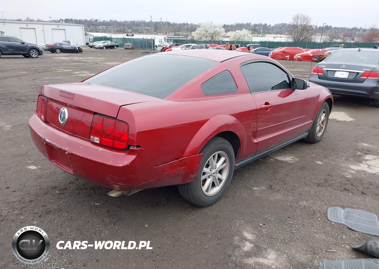 2005 Ford Mustang V6 Deluxe-V6 Premium VIN:1ZVFT80N155251774 - 4