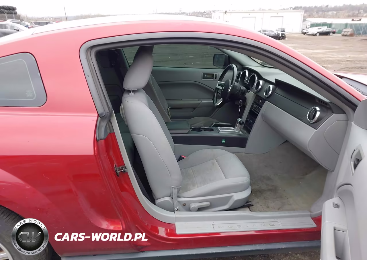 2005 Ford Mustang V6 Deluxe-V6 Premium VIN:1ZVFT80N155251774 - 5