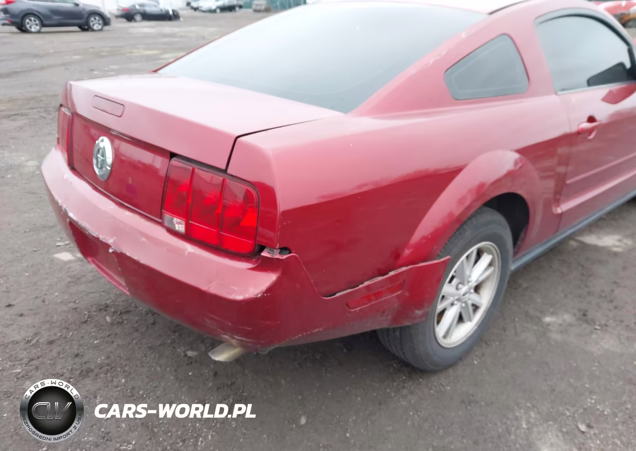 2005 Ford Mustang V6 Deluxe-V6 Premium VIN:1ZVFT80N155251774 - 6