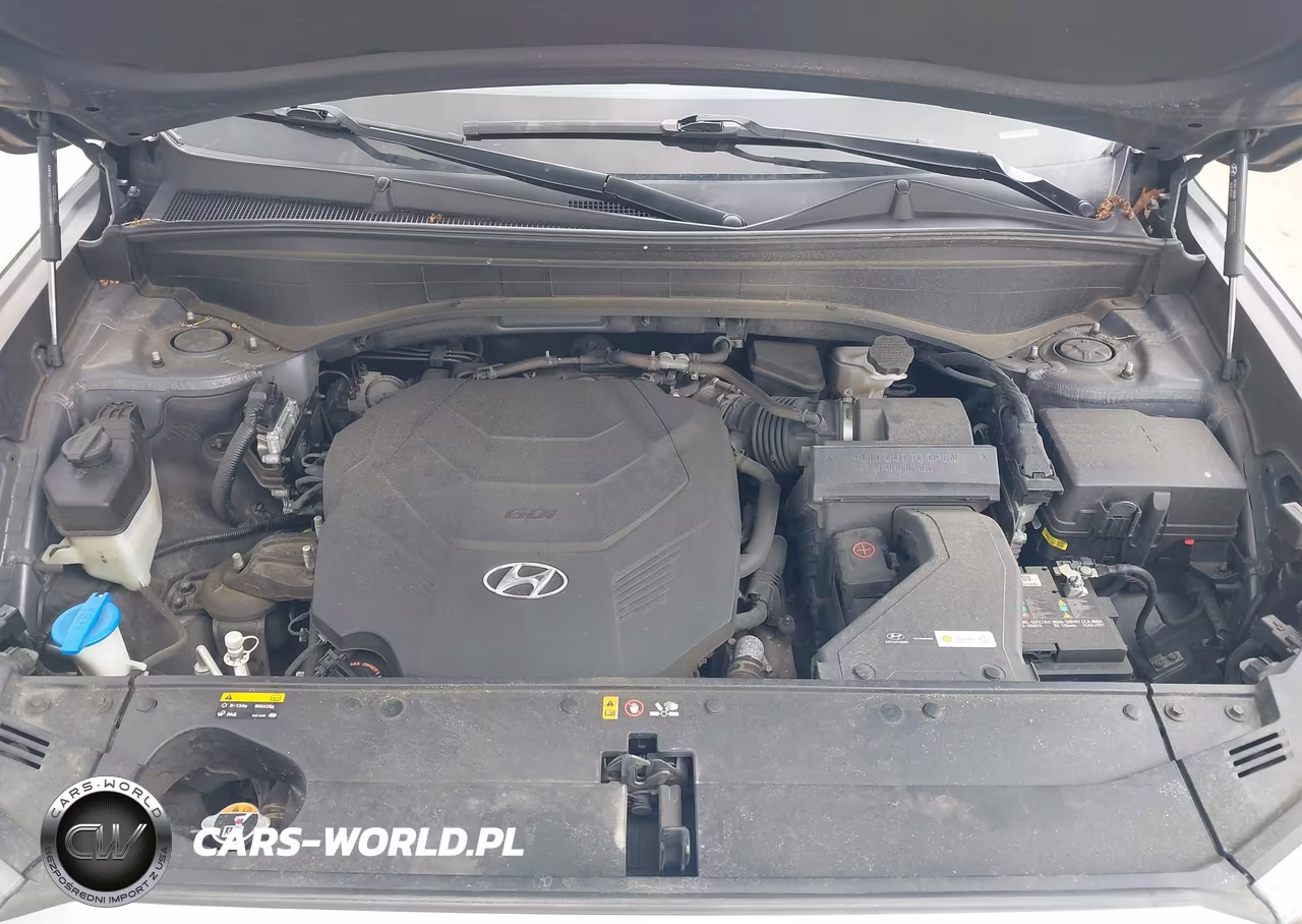 2020 Hyundai Palisade Limited VIN:KM8R5DHE8LU165268 - 10