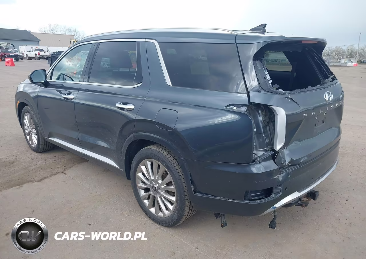 2020 Hyundai Palisade Limited VIN:KM8R5DHE8LU165268 - 3