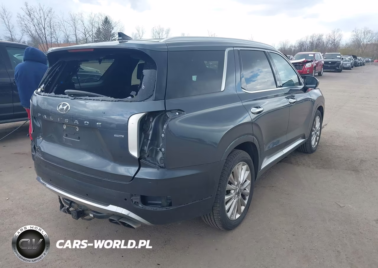 2020 Hyundai Palisade Limited VIN:KM8R5DHE8LU165268 - 4