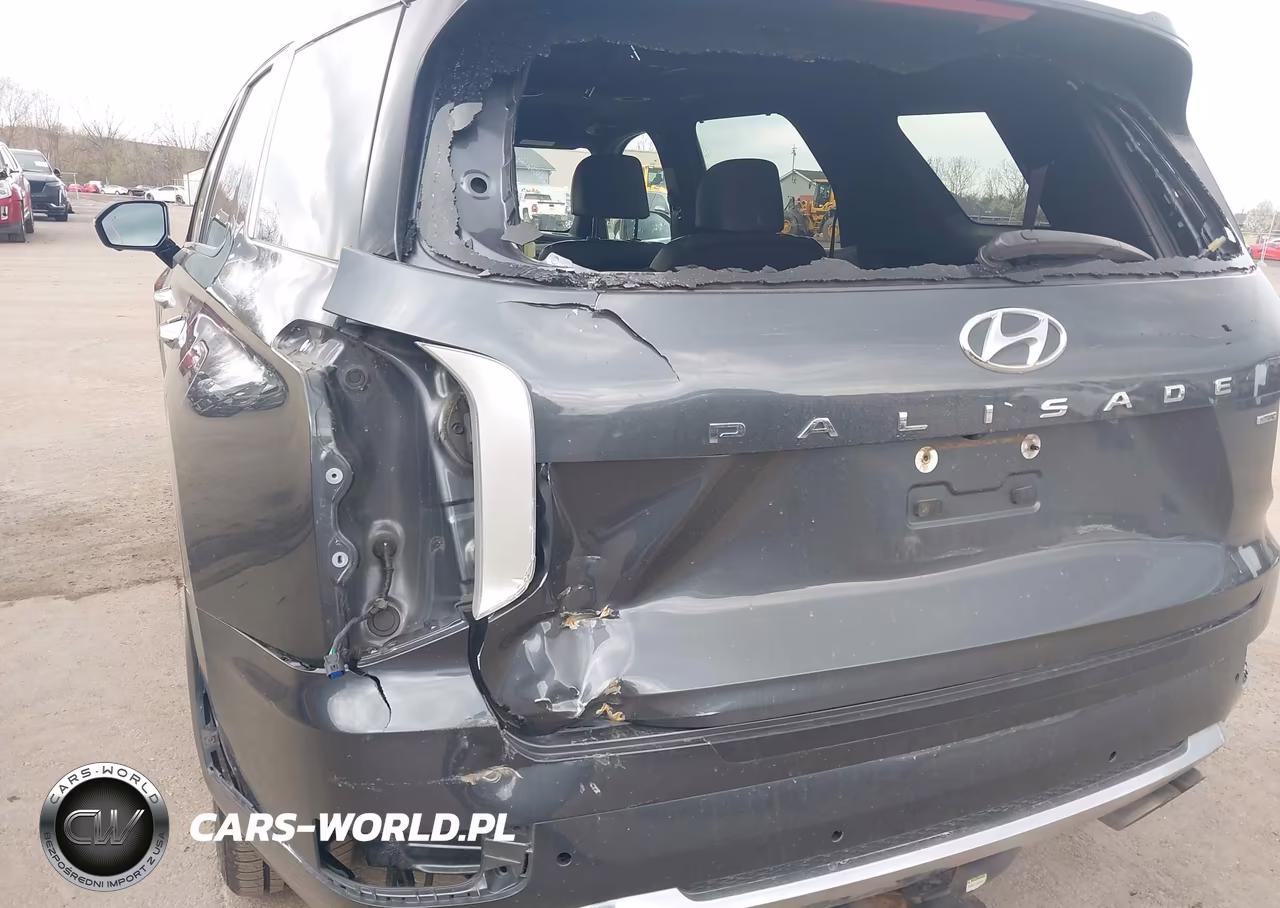2020 Hyundai Palisade Limited VIN:KM8R5DHE8LU165268 - 6