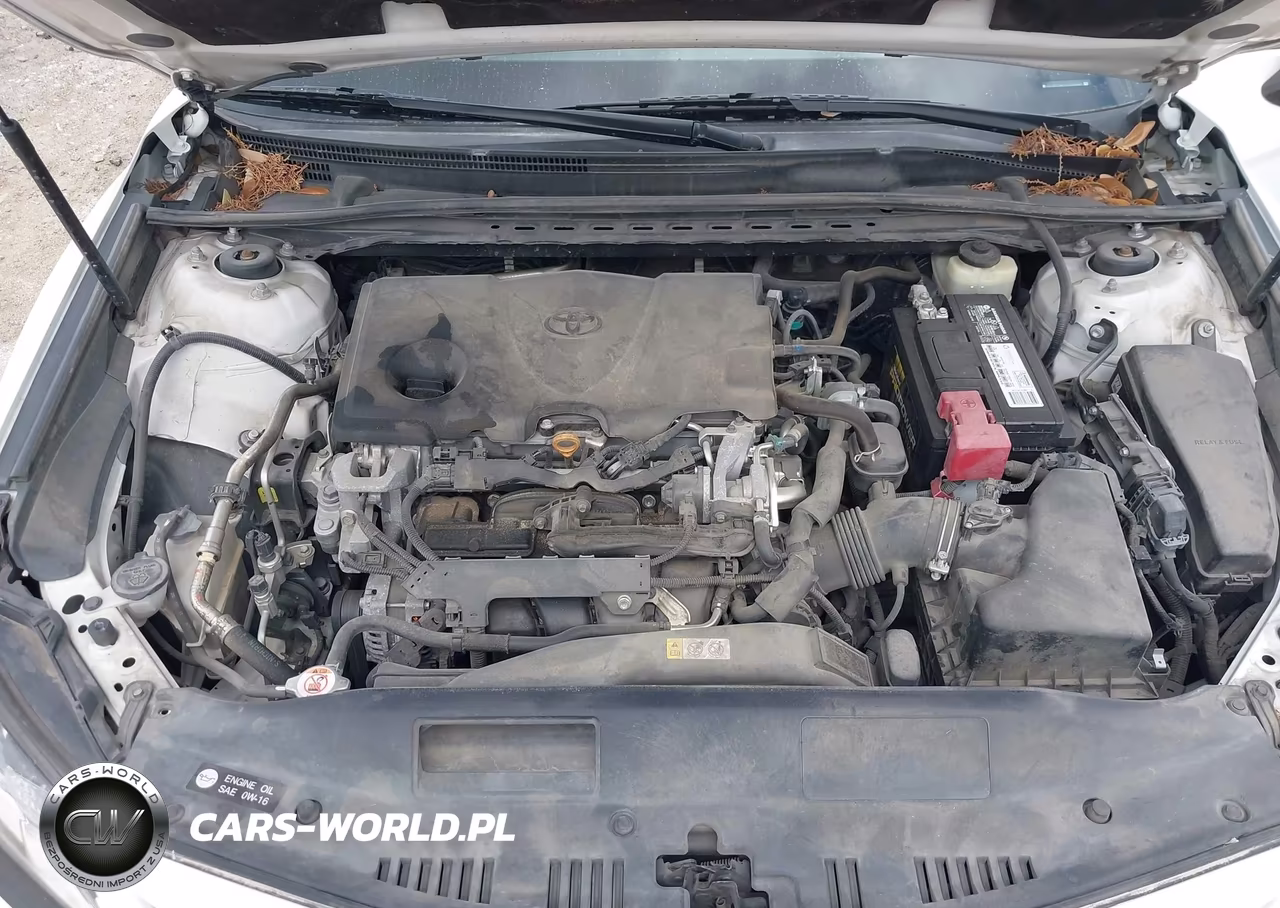 2018 Toyota Camry Se VIN:4T1B11HK1JU594945 - 10