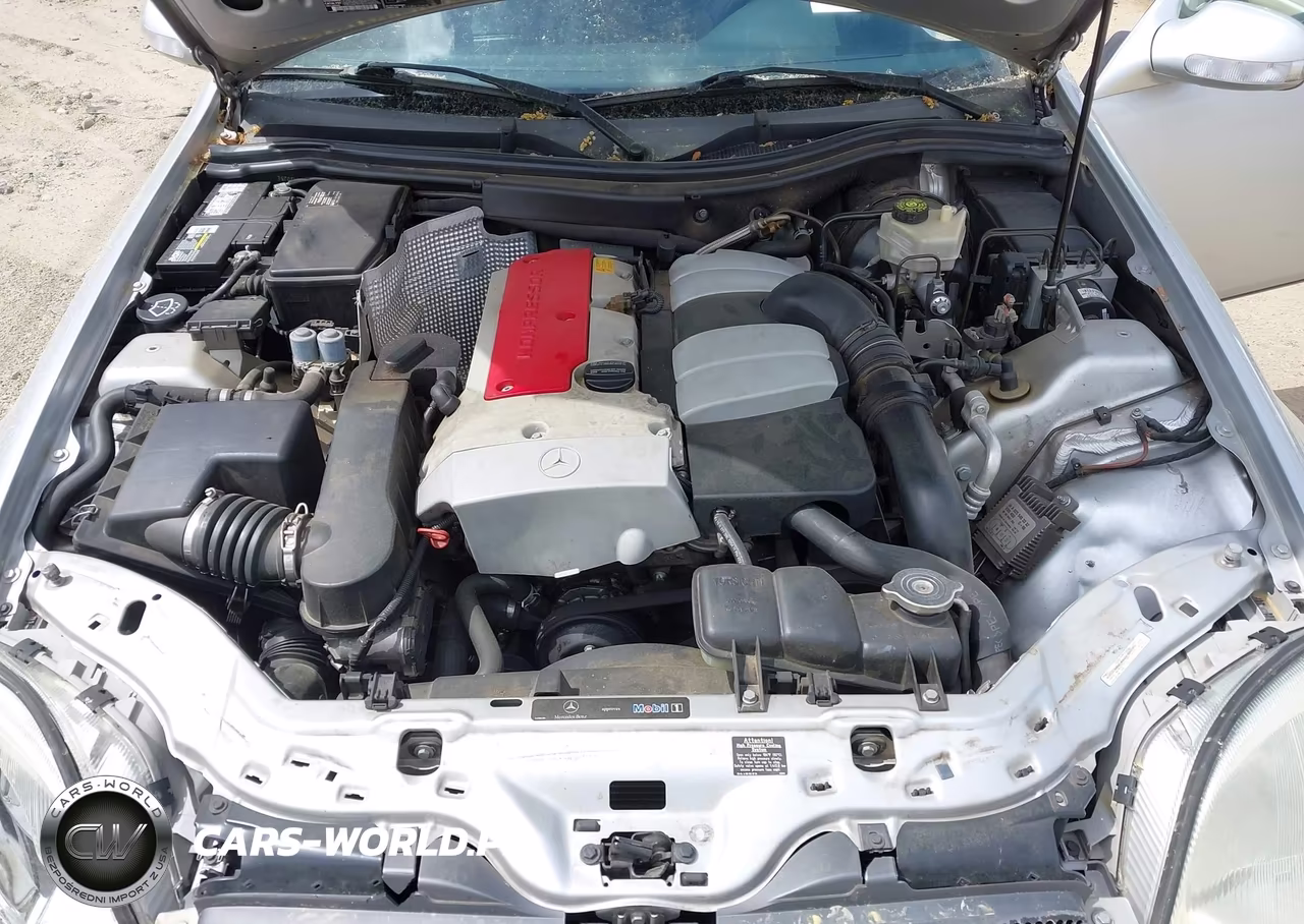 2003 Mercedes-Benz Slk 230 Kompressor VIN:WDBKK49F03F289141 - 10
