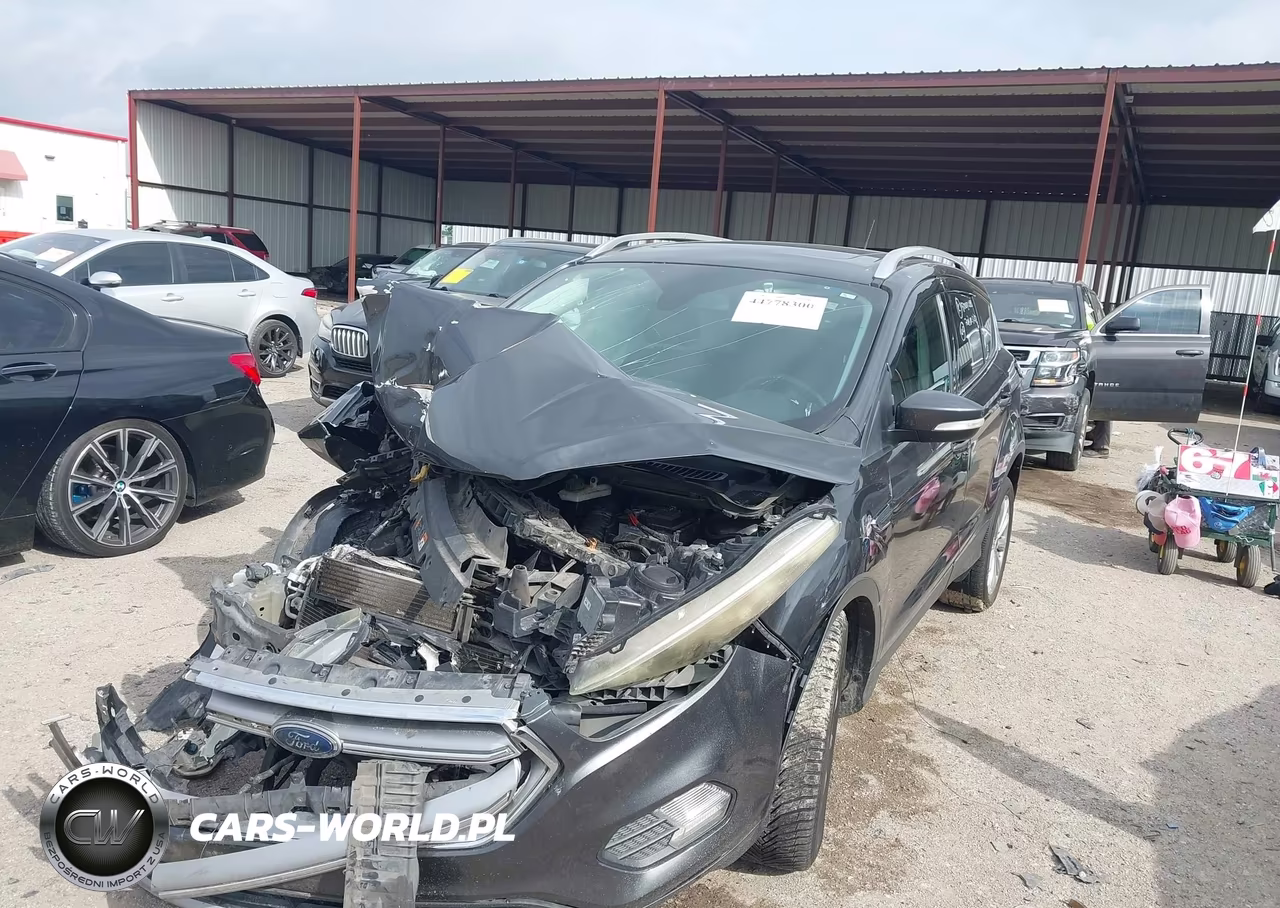 2017 Ford Escape Titanium VIN:1FMCU0J97HUF05841 - 2