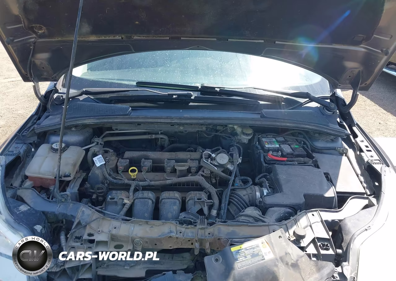 FORD FOCUS VIN:1FADP3F25DL189469 - 10