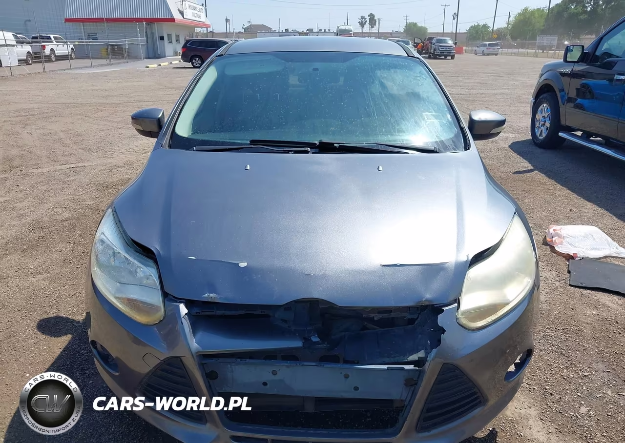 FORD FOCUS VIN:1FADP3F25DL189469 - 13