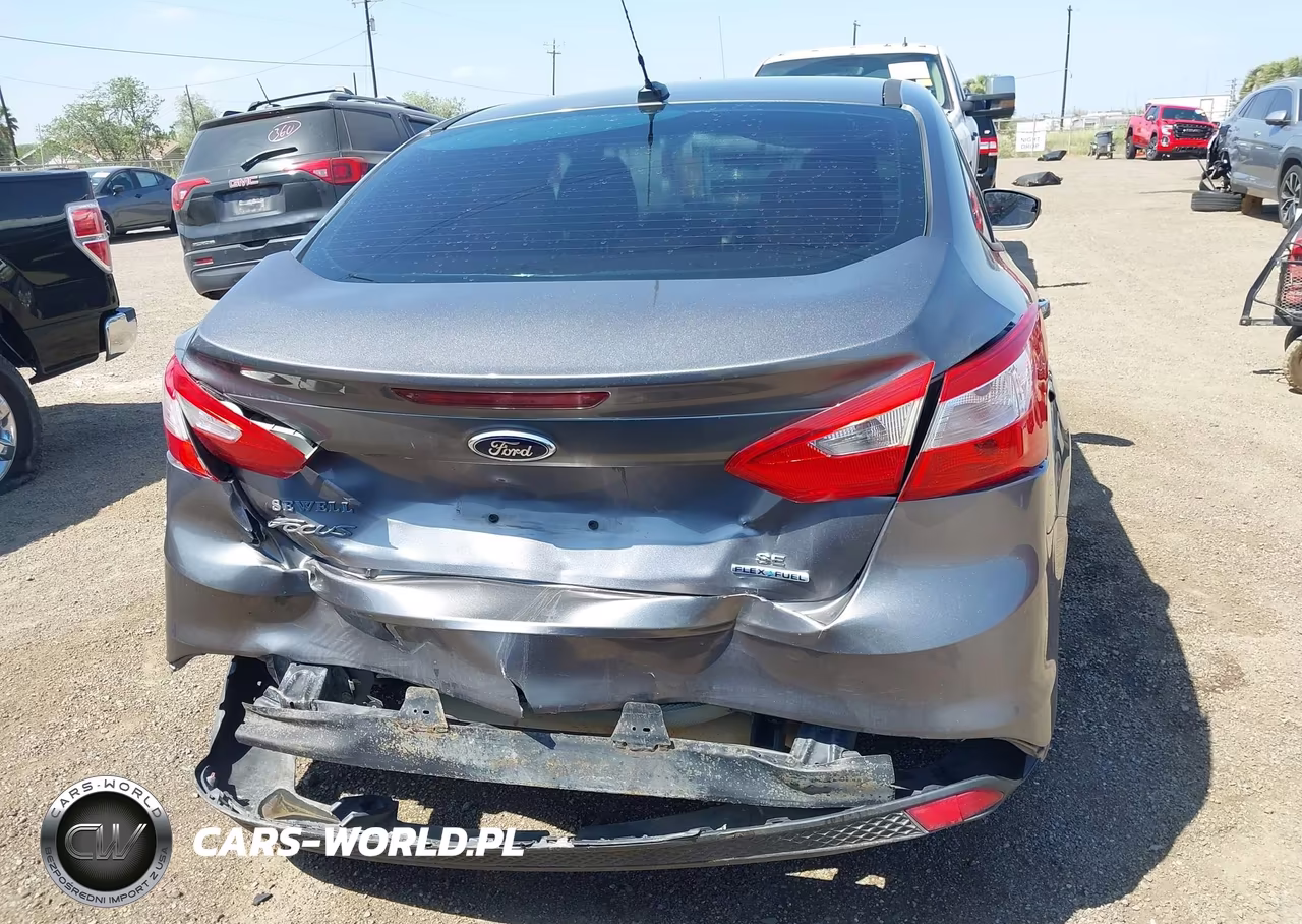 FORD FOCUS VIN:1FADP3F25DL189469 - 17