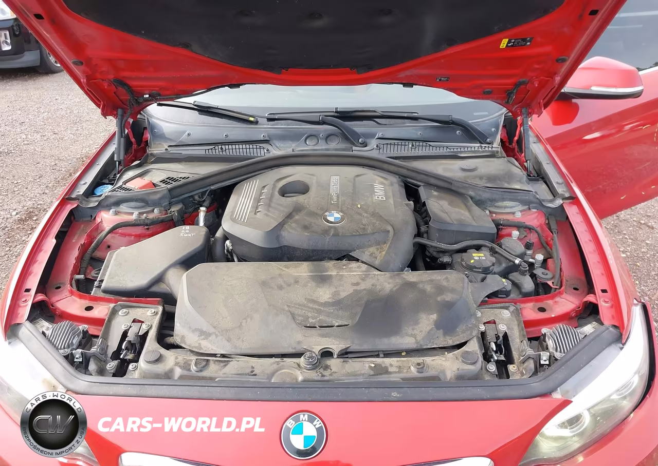 2018 BMW 230I VIN:WBA2J1C51JVD09693 - 10