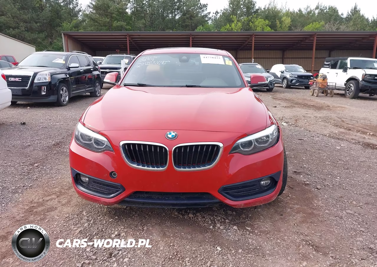 2018 BMW 230I VIN:WBA2J1C51JVD09693 - 12