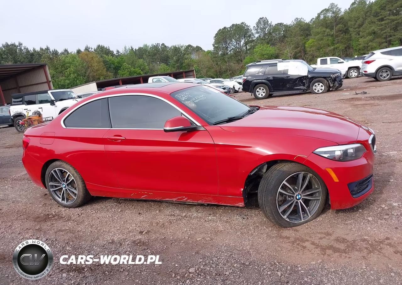 2018 BMW 230I VIN:WBA2J1C51JVD09693 - 13