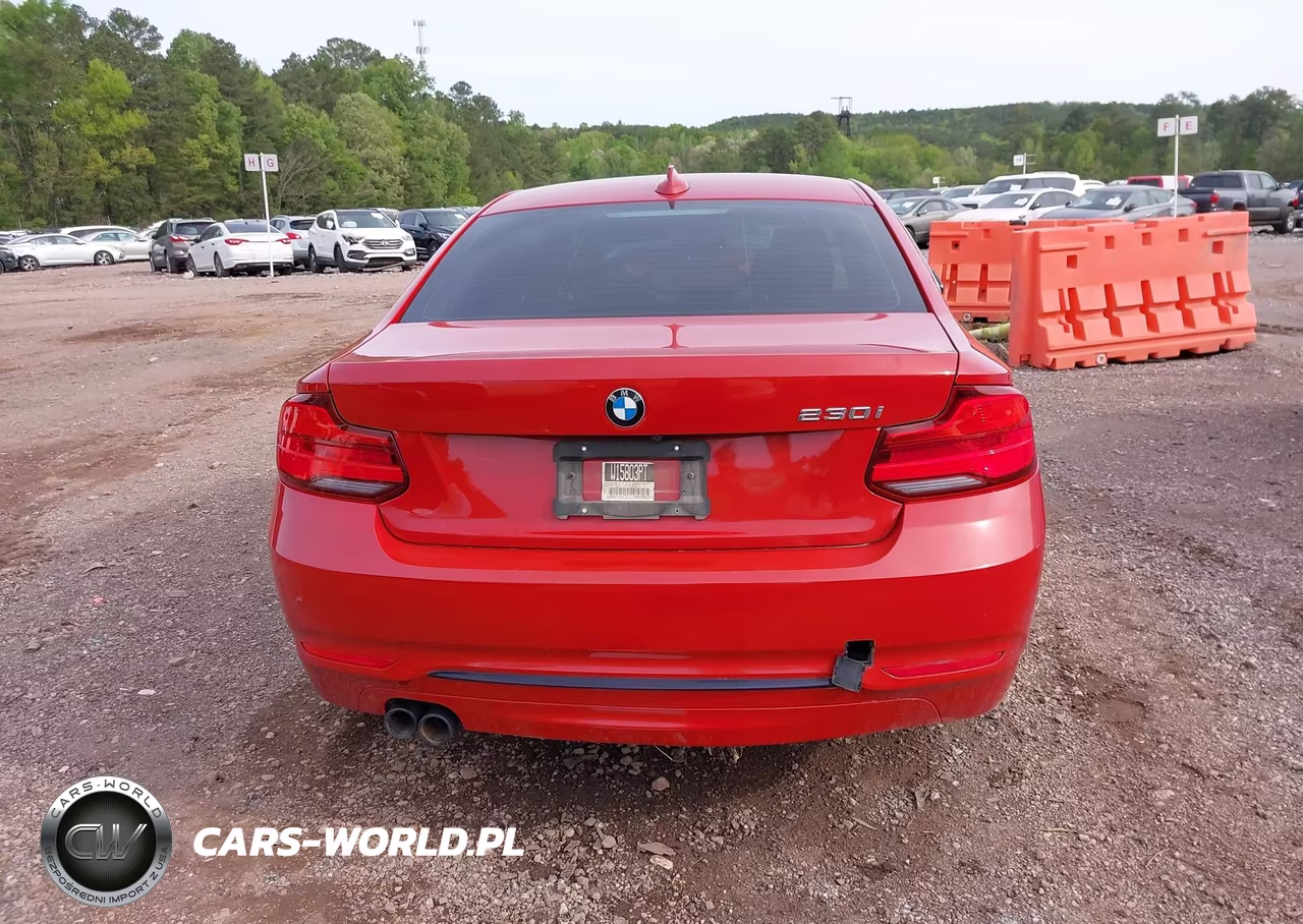 2018 BMW 230I VIN:WBA2J1C51JVD09693 - 16
