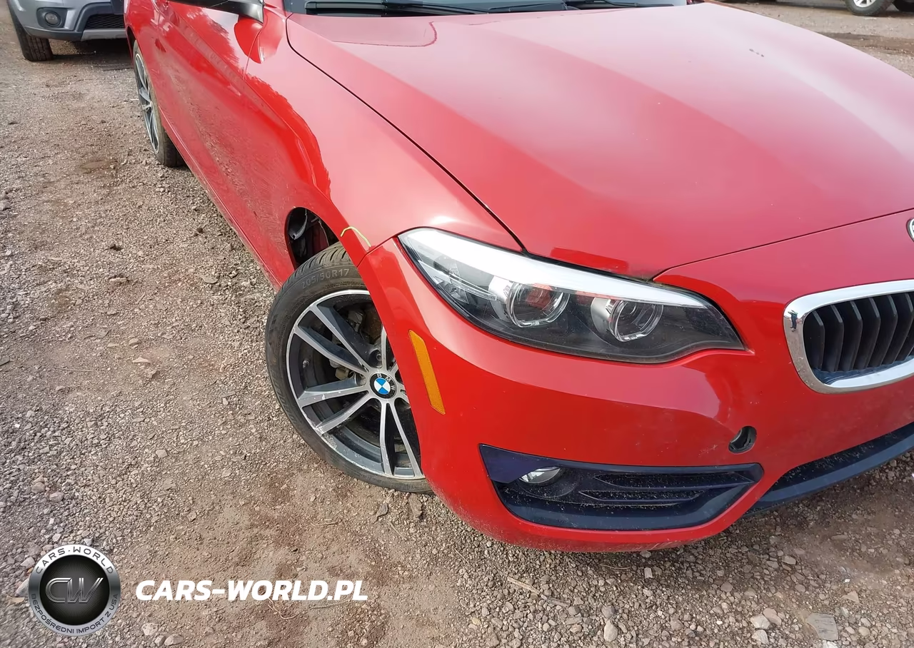 2018 BMW 230I VIN:WBA2J1C51JVD09693 - 17