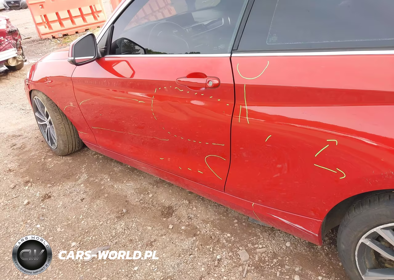 2018 BMW 230I VIN:WBA2J1C51JVD09693 - 19