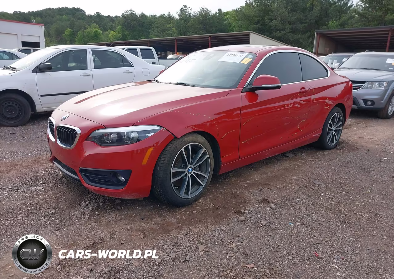 2018 BMW 230I VIN:WBA2J1C51JVD09693 - 2