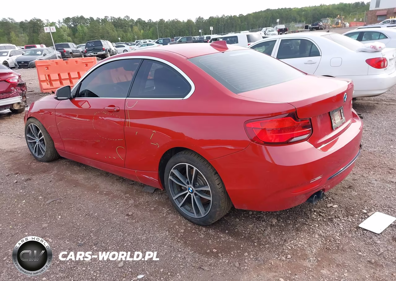 2018 BMW 230I VIN:WBA2J1C51JVD09693 - 3