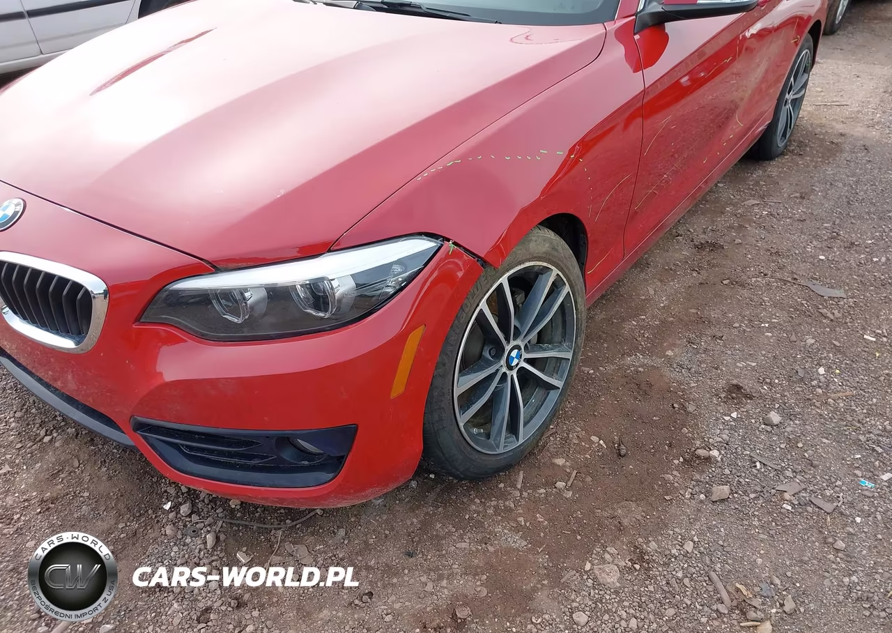 2018 BMW 230I VIN:WBA2J1C51JVD09693 - 6