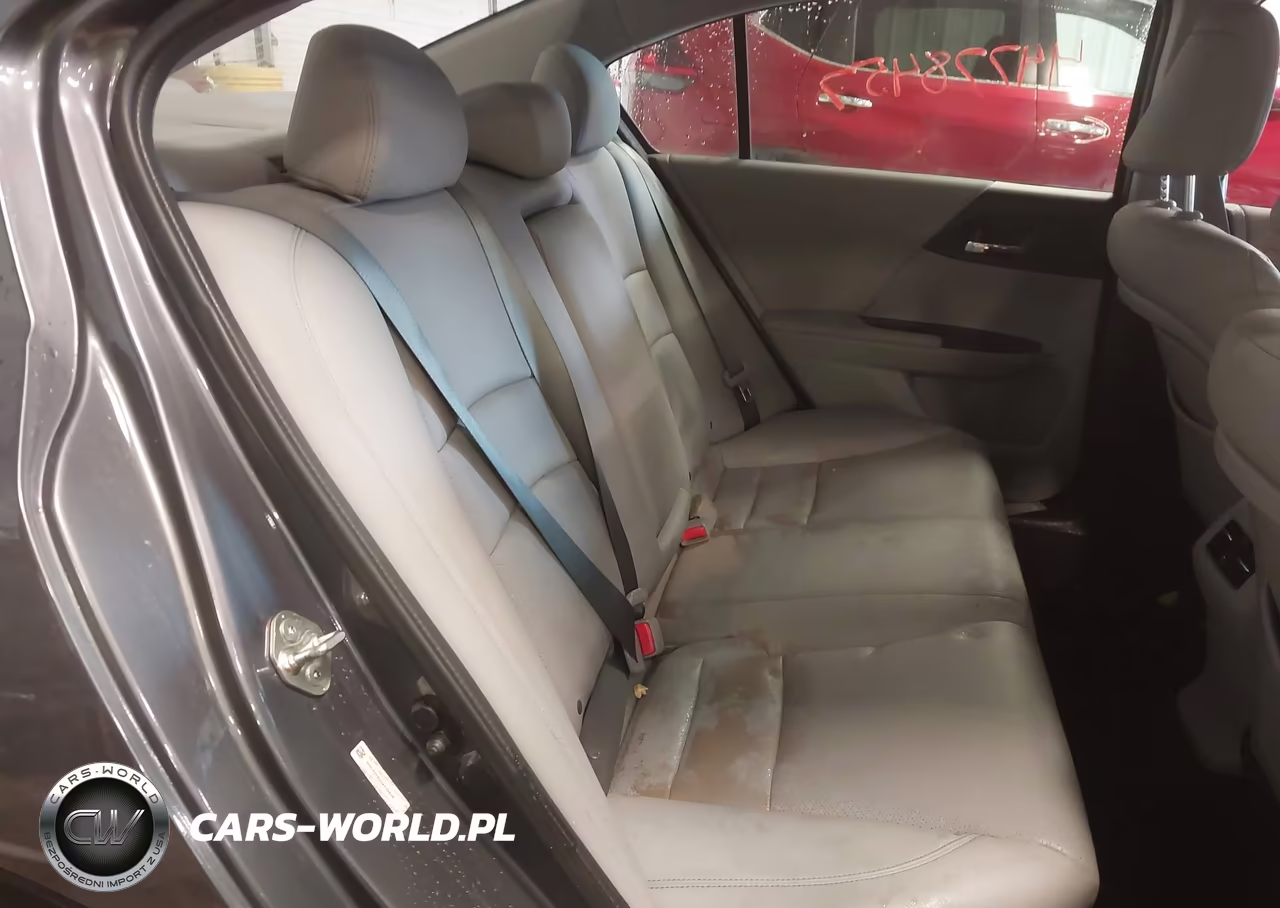 2013 Honda Accord Ex-L VIN:1HGCR2F88DA239826 - 8