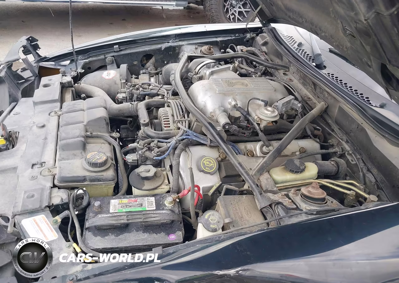1997 Ford Mustang Cobra VIN:1FALP46V2VF178621 - 11