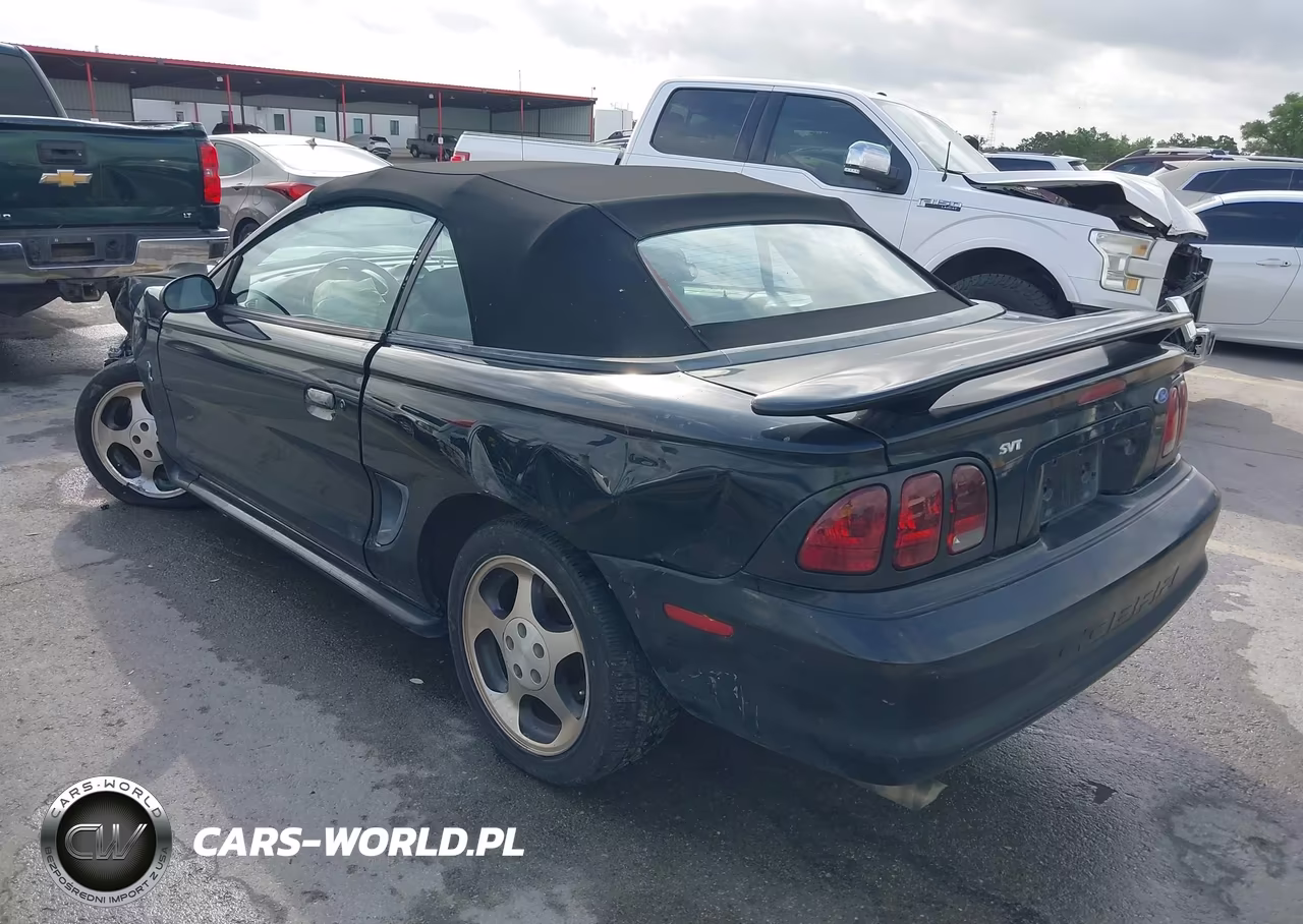 1997 Ford Mustang Cobra VIN:1FALP46V2VF178621 - 3