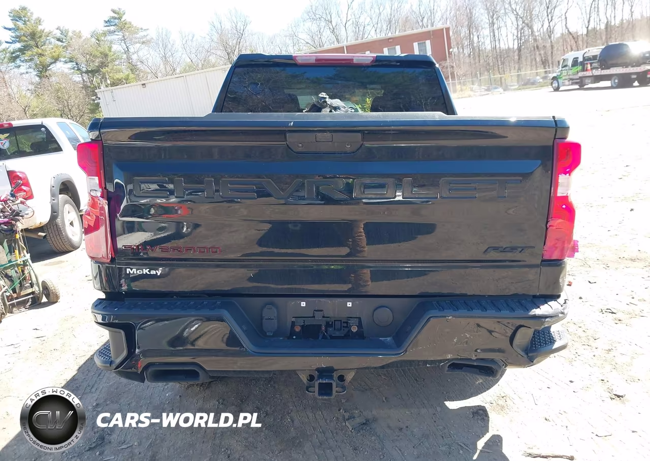 2022 Chevrolet Silverado 1500 Ltd 4Wd Short Bed Rst VIN:1GCUYEED2NZ185819 - 16